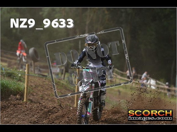 Experts-033