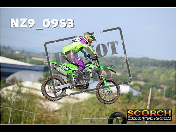 Experts-161