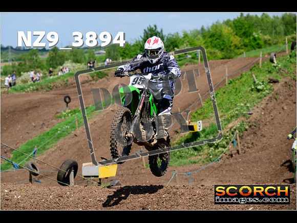 InterGreen-178