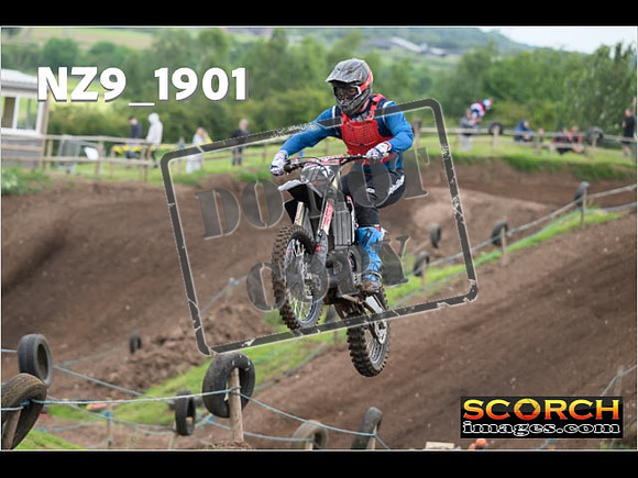 Experts-121