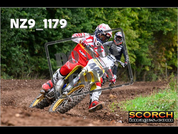 Experts-059