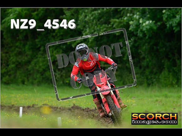 Experts-263