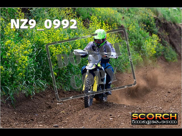 IntersGreen-057