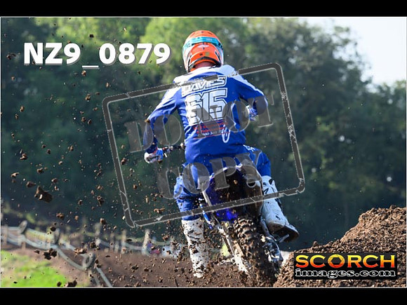 Experts-093
