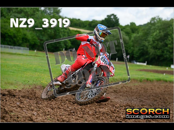 Experts-029