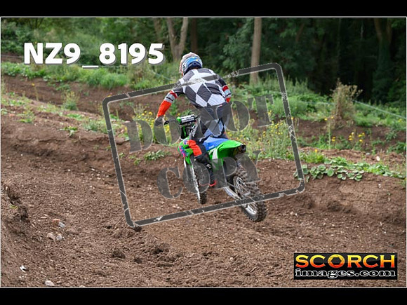 Experts-132
