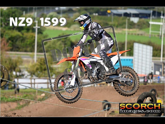 Experts-281