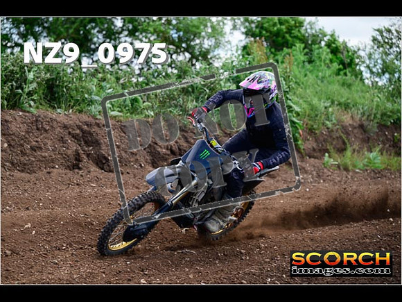 IntersGreen-040
