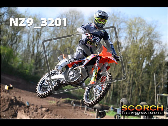 Experts-061