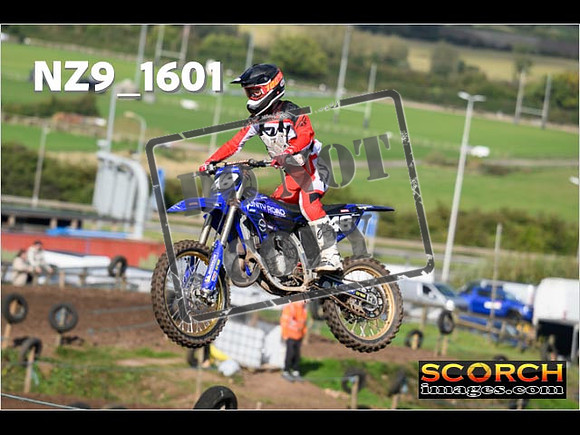 Experts-283
