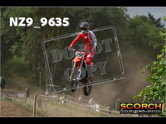 Experts-035