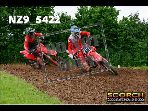 Experts-354