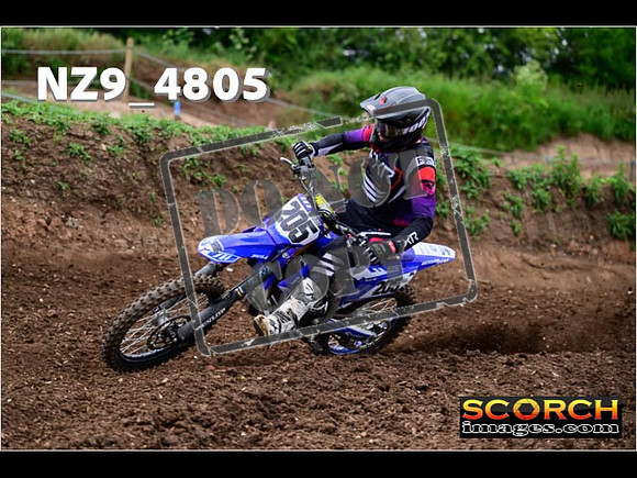 Experts-099