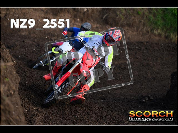 Experts-137