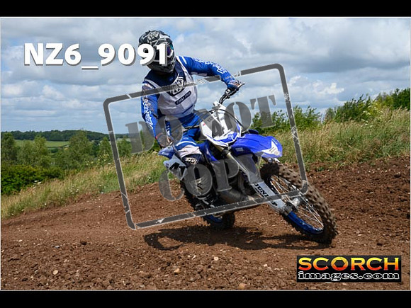 Experts-155
