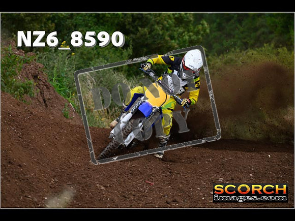 Experts-110