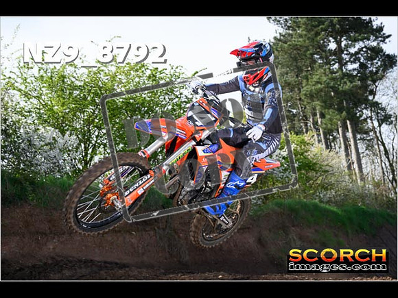 Experts-037