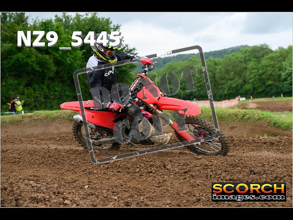 Experts-376