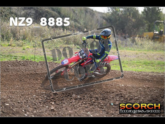 Experts-091