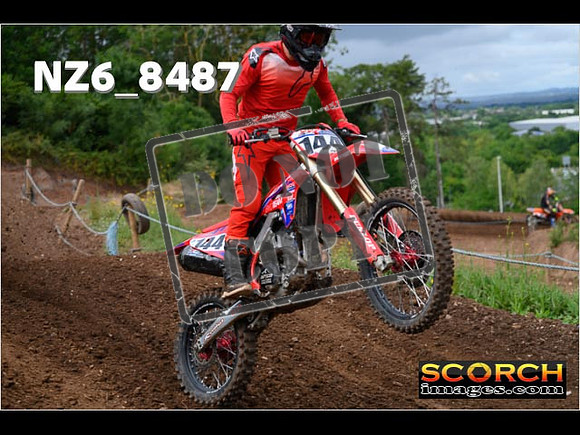 InterGreen-069