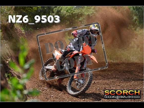 Experts-266