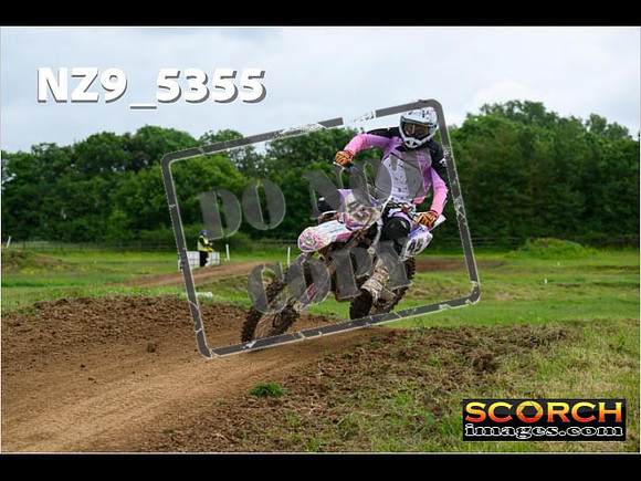 Experts-291