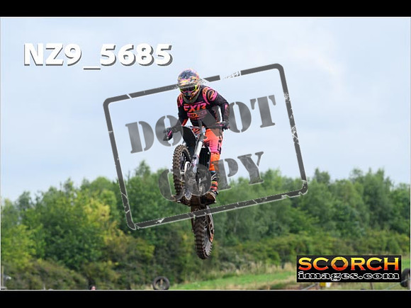 Experts-087
