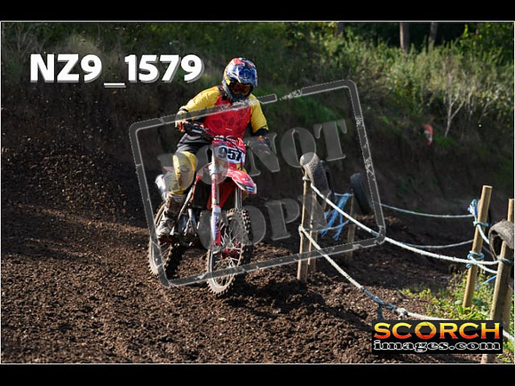 Experts-261
