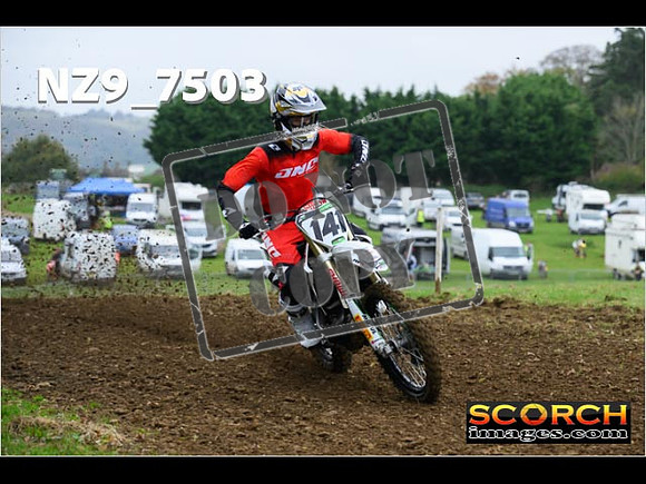 Experts-051