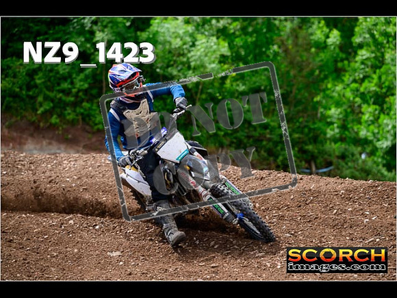 IntersGreen-134