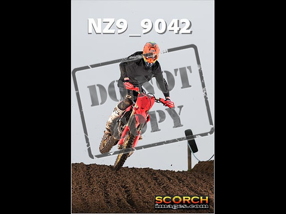 Experts-146