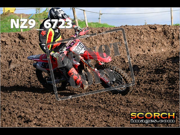 Experts-117