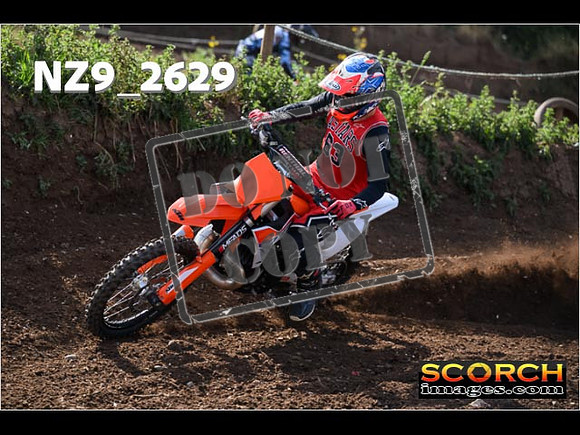 IntersGreenOrange-029