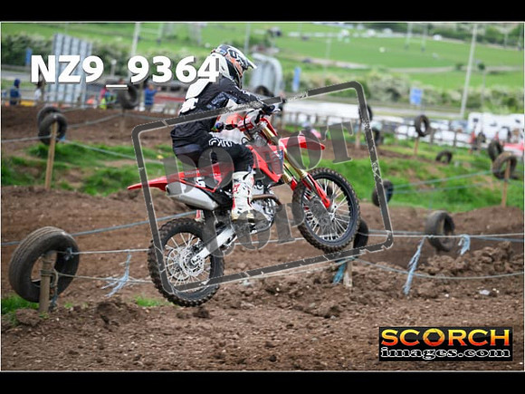 Experts-082