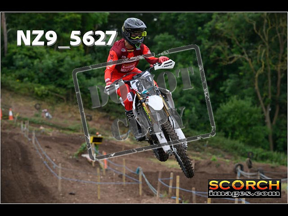 Experts-032