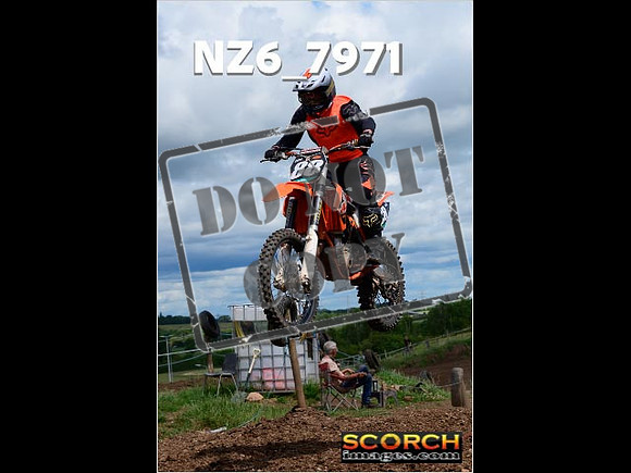 Experts-137