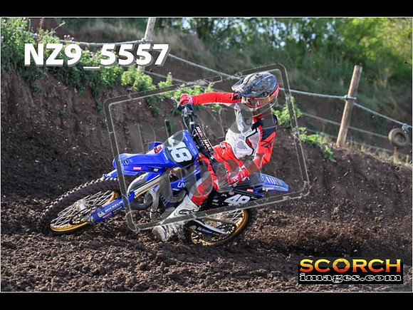 Experts-085