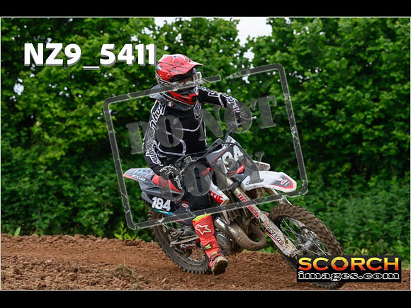 Experts-345