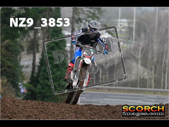 Experts-048