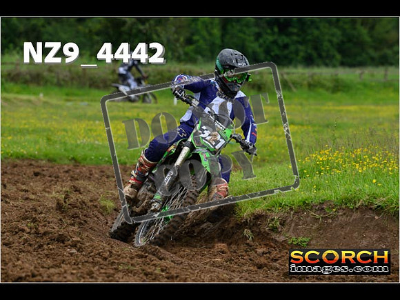 Experts-161