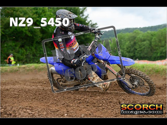 Experts-381