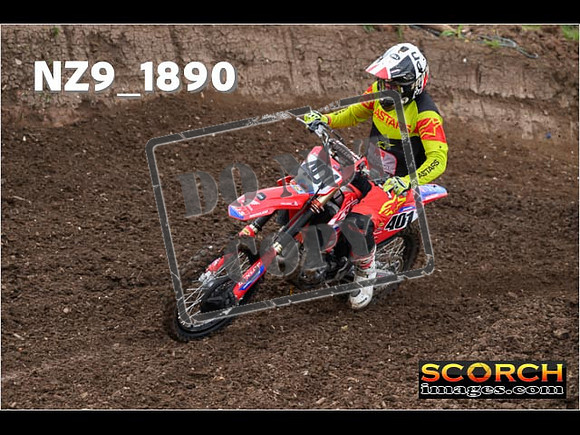 Experts-110