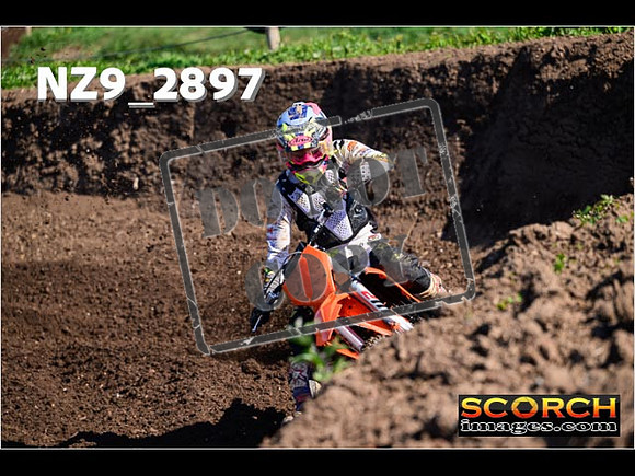 Experts-069