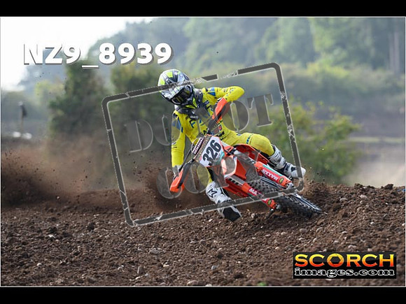 Experts-137