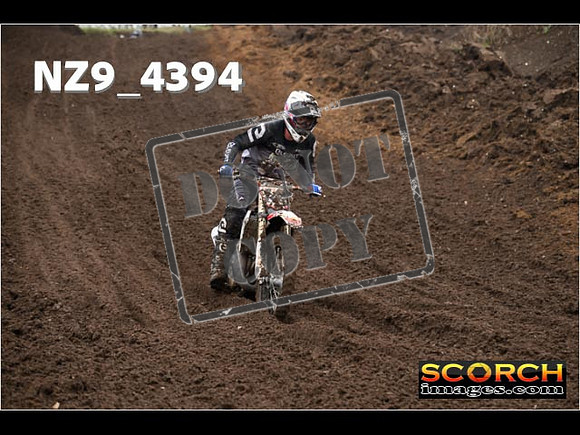 Experts-240