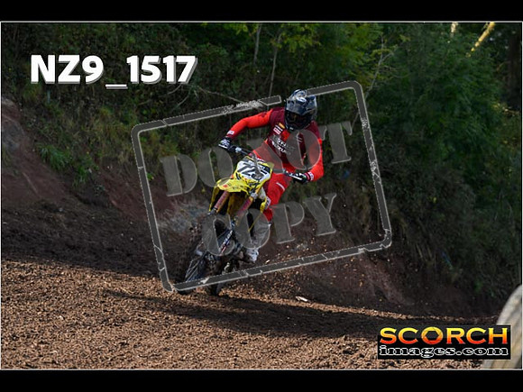 Experts-207