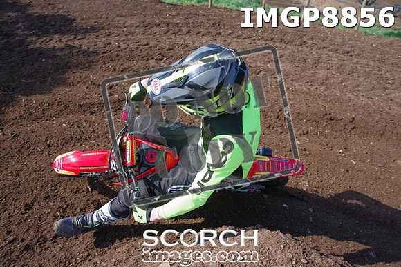 IMGP8856