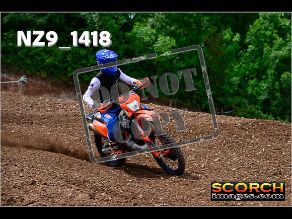 IntersGreen-129