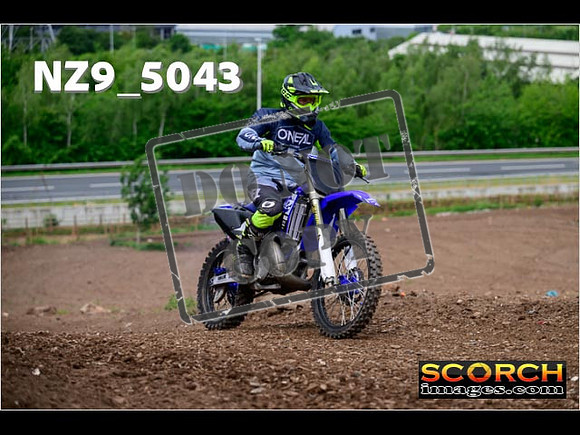 IntersGreen-128
