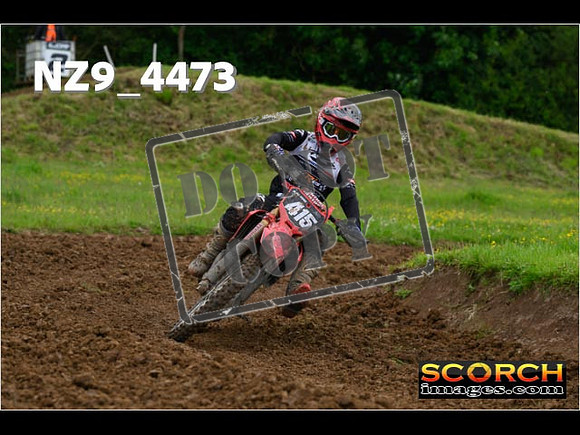 Experts-191